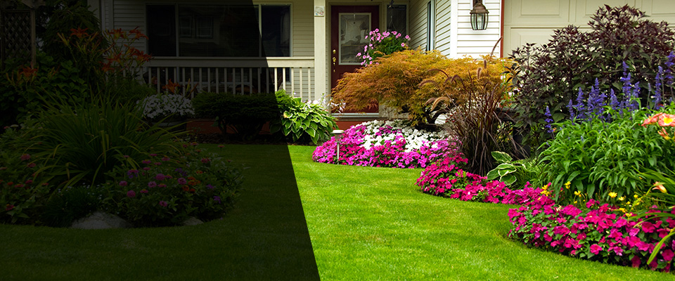 Forest Landscapers